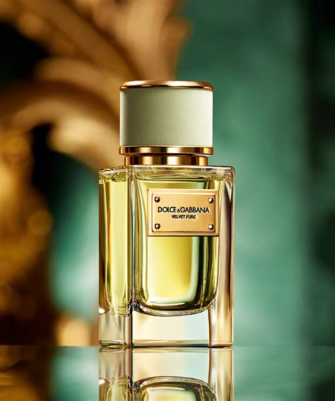 dolce and gabbana new fragrance for women|dolce gabbana perfume women feminine.